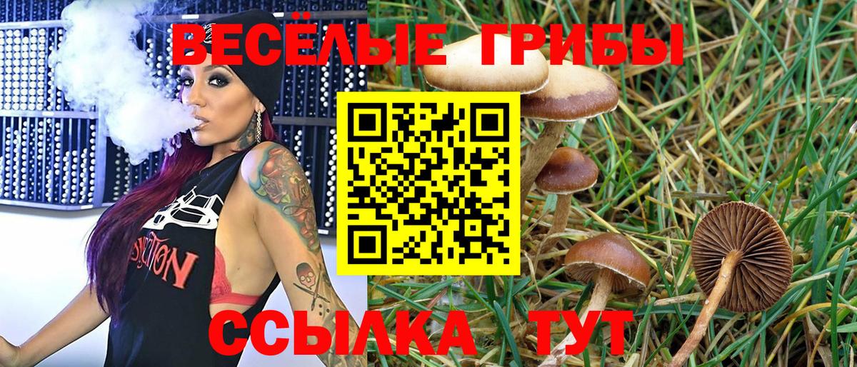 закладки  Вход с VPN  Мурино  Галлюциногенные грибы ЛСД 