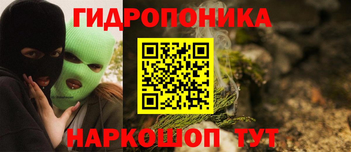 Мурино  Канабис AK-47  Бошки Шишки Amnesia  Вход с VPN  Бошки Шишки гибрид 